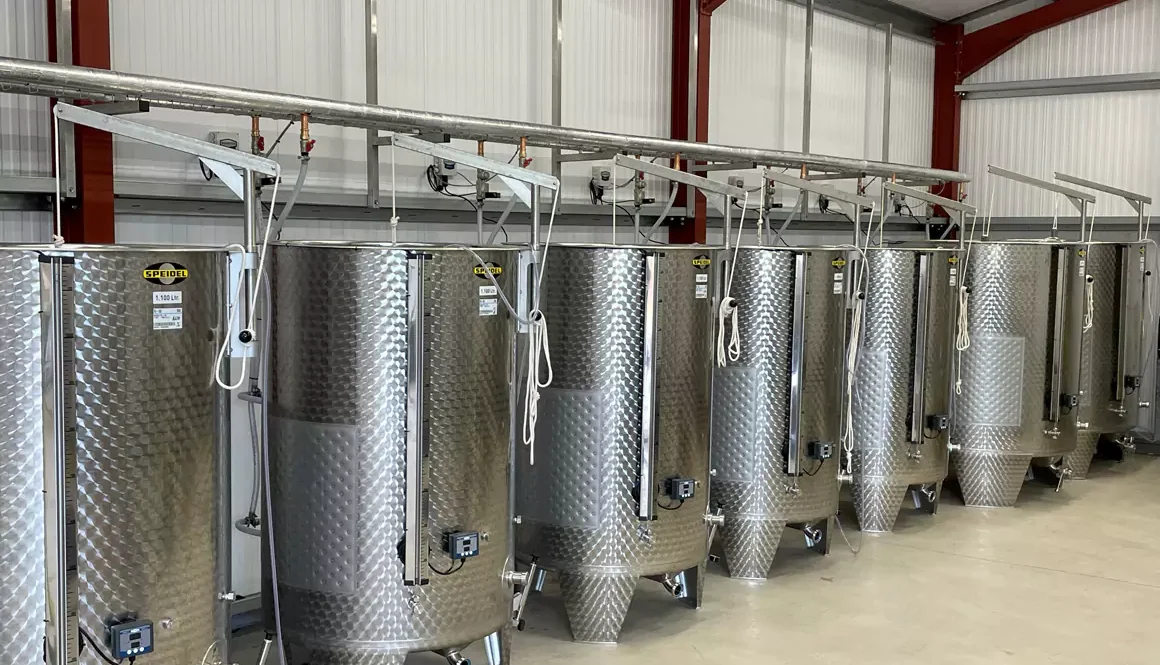 White Castle Vineyard News