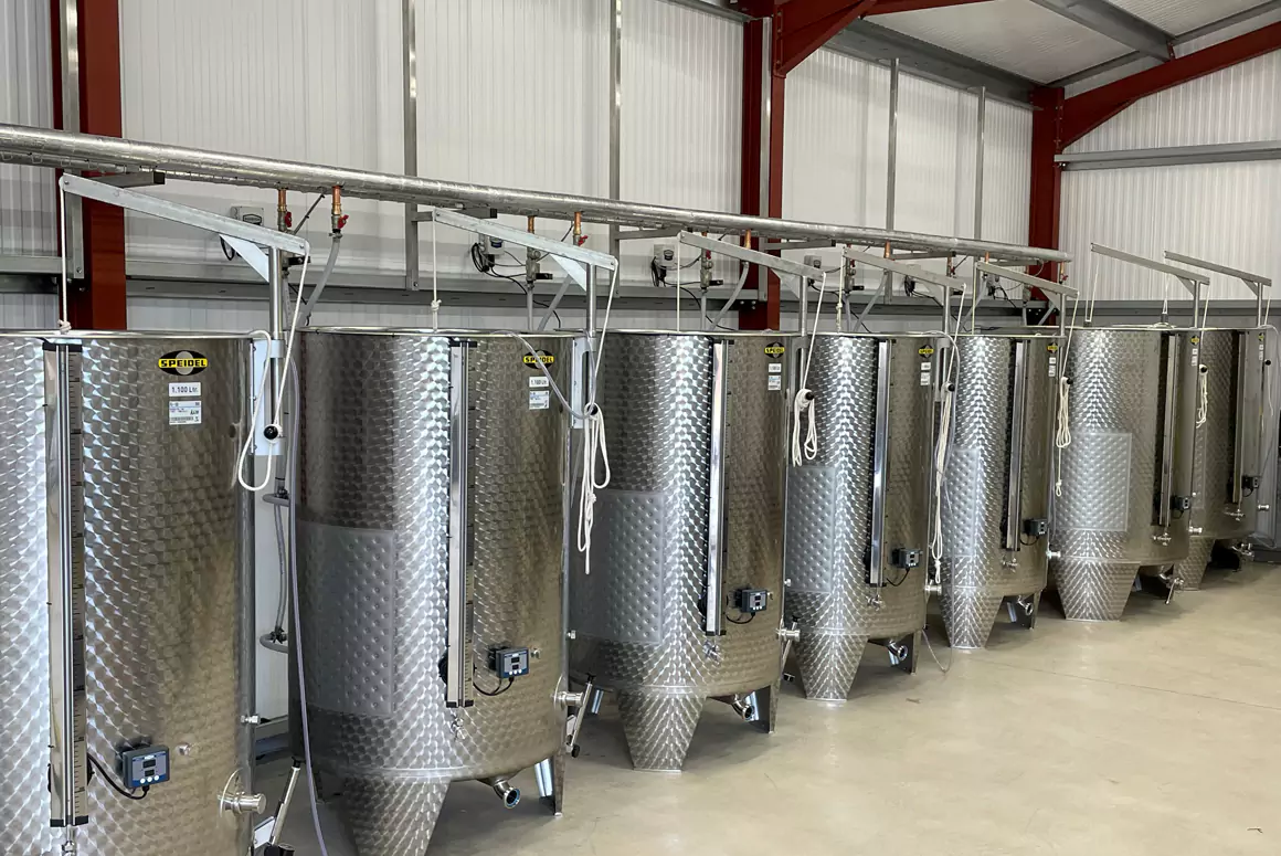 White Castle Vineyard News