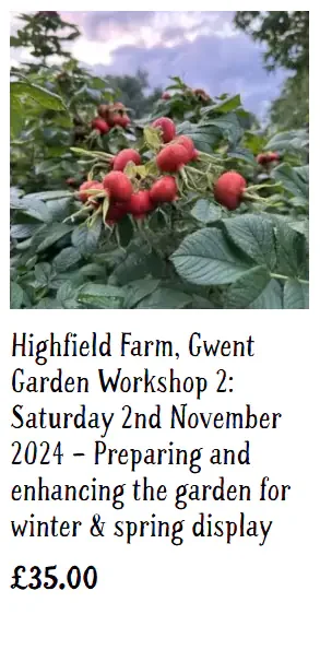 NGS Workshops