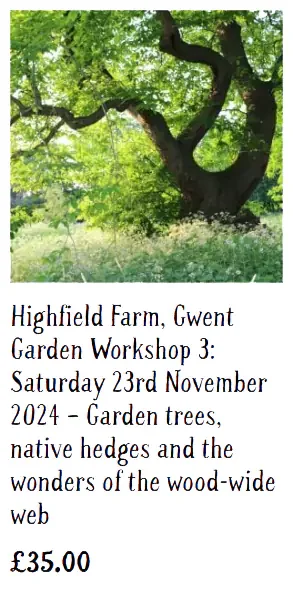 NGS Workshops