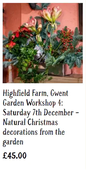 NGS Workshops