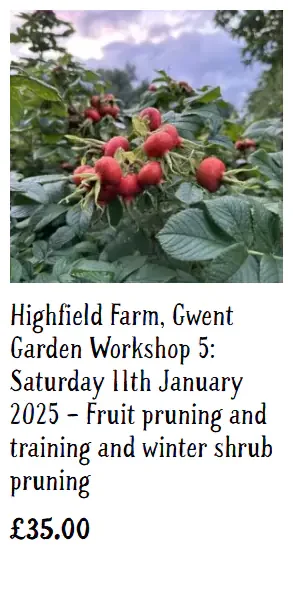 NGS Workshops