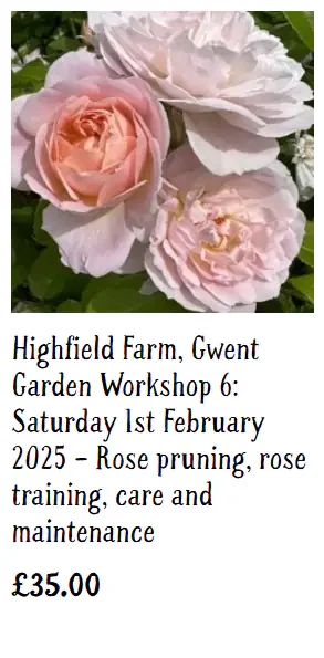 NGS Workshops