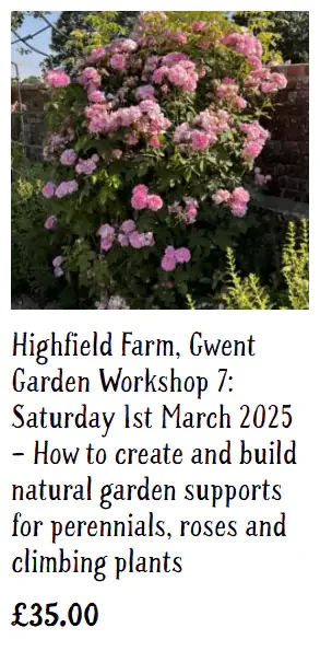 NGS Workshops