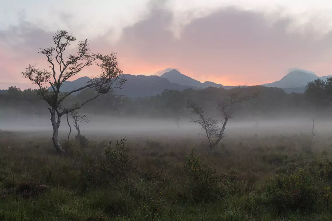 Brad Carr Photography