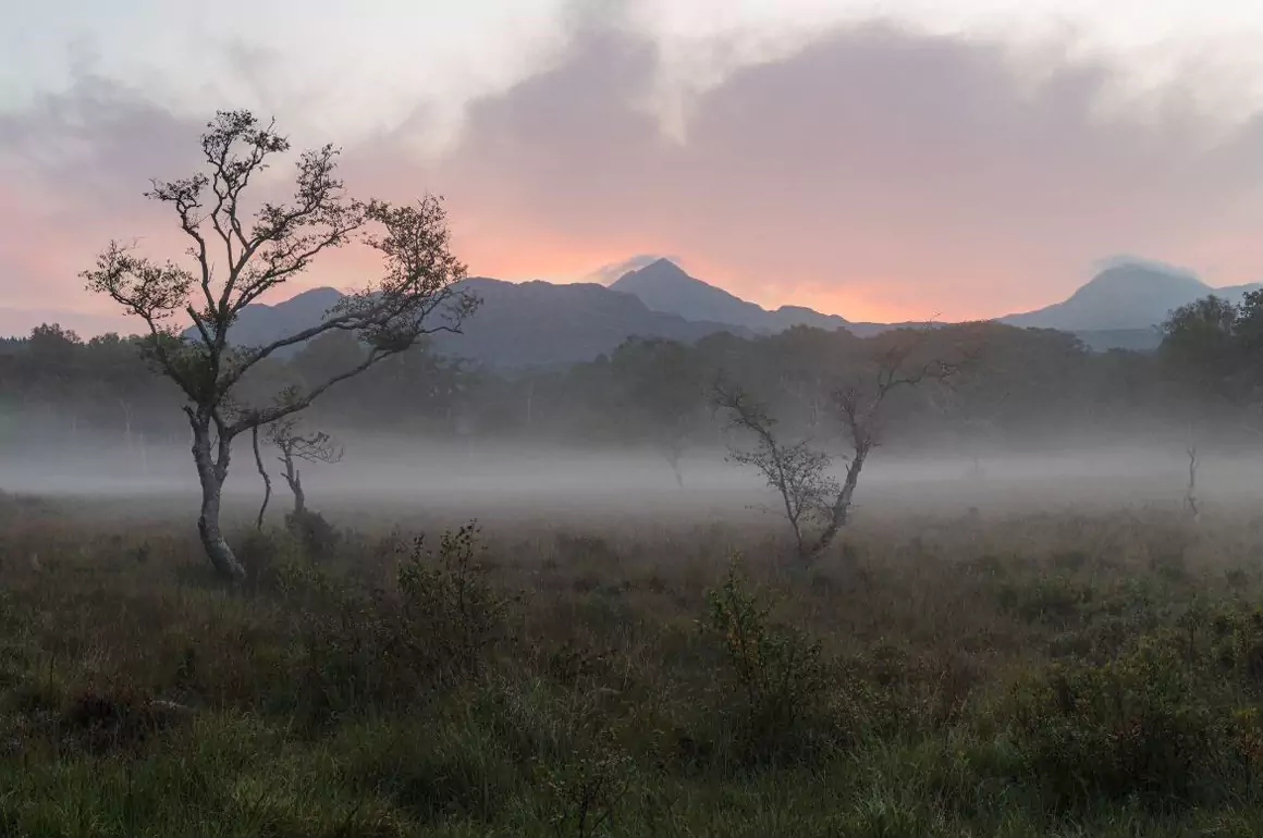 News from Brad Carr Photography