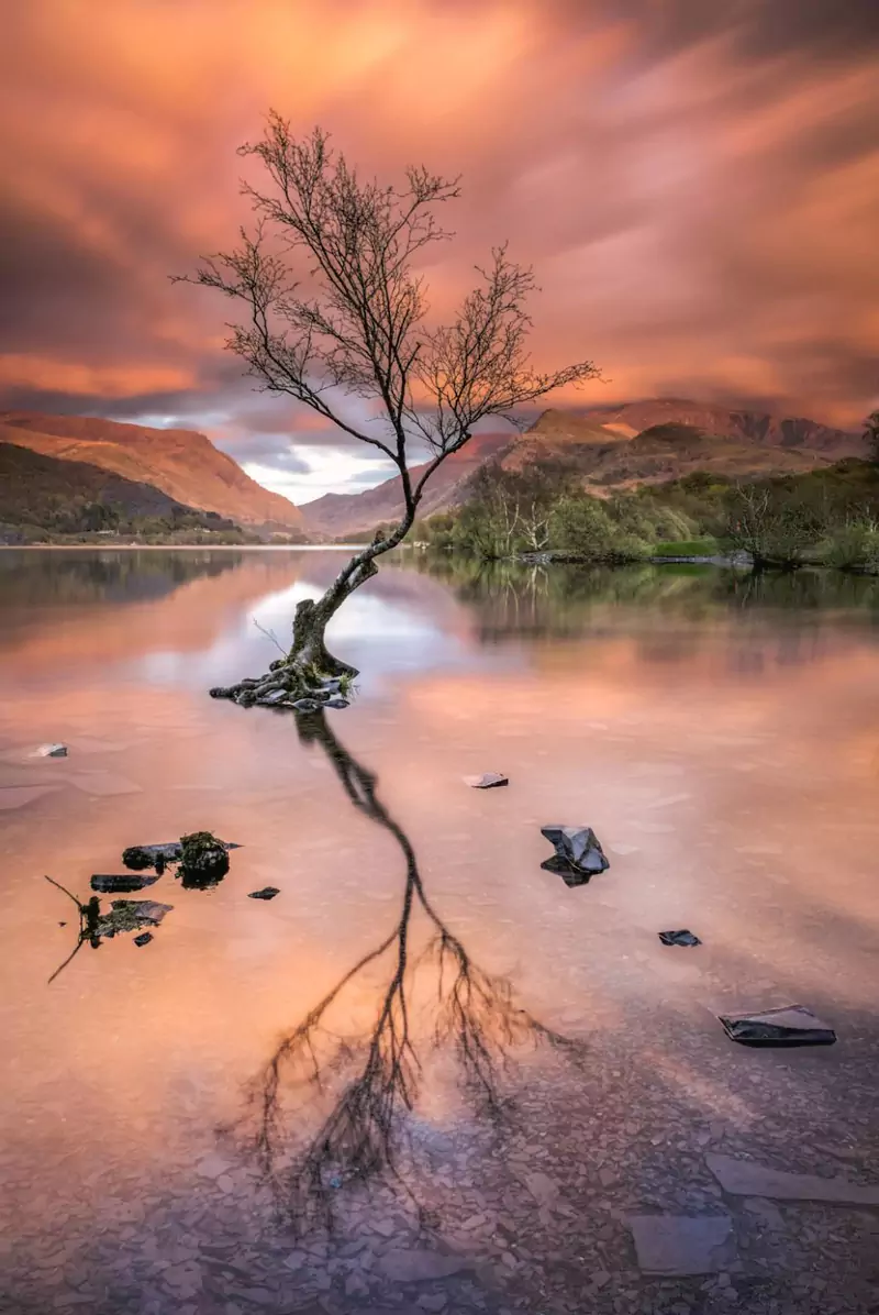News from Brad Carr Photography
