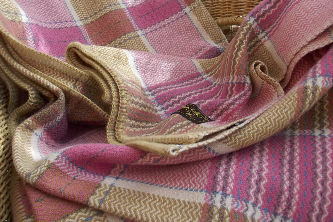 Elvet Woolen Mill, Carmarthen