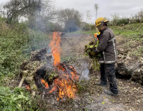 Shropshire Union Canal Society Work Party Report - November 2024