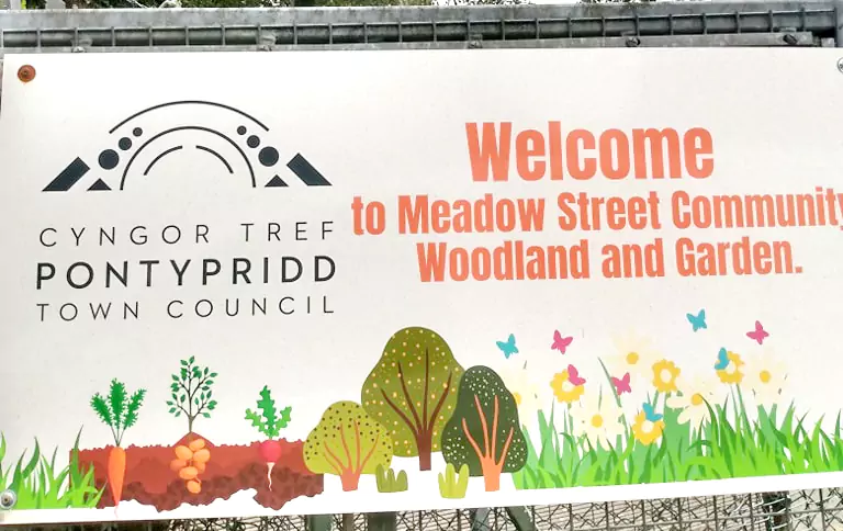 Creating Wildflower Spaces with Meadow Creations