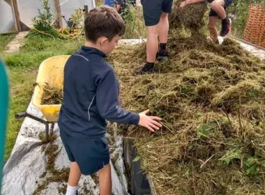 Creating Wildflower Spaces with Meadow Creations