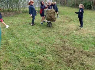 Creating Wildflower Spaces with Meadow Creations