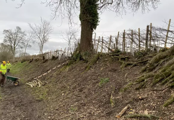 Montgomery Canal: Crickheath South Work Party Report - December 24