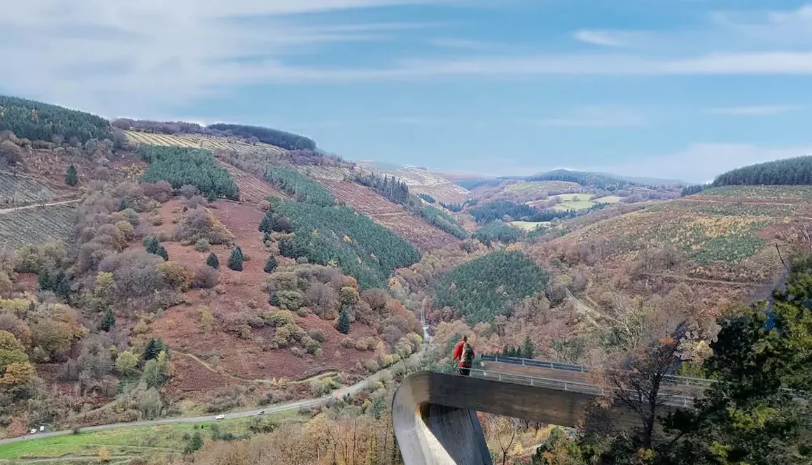Cwmcarn Forest Drive