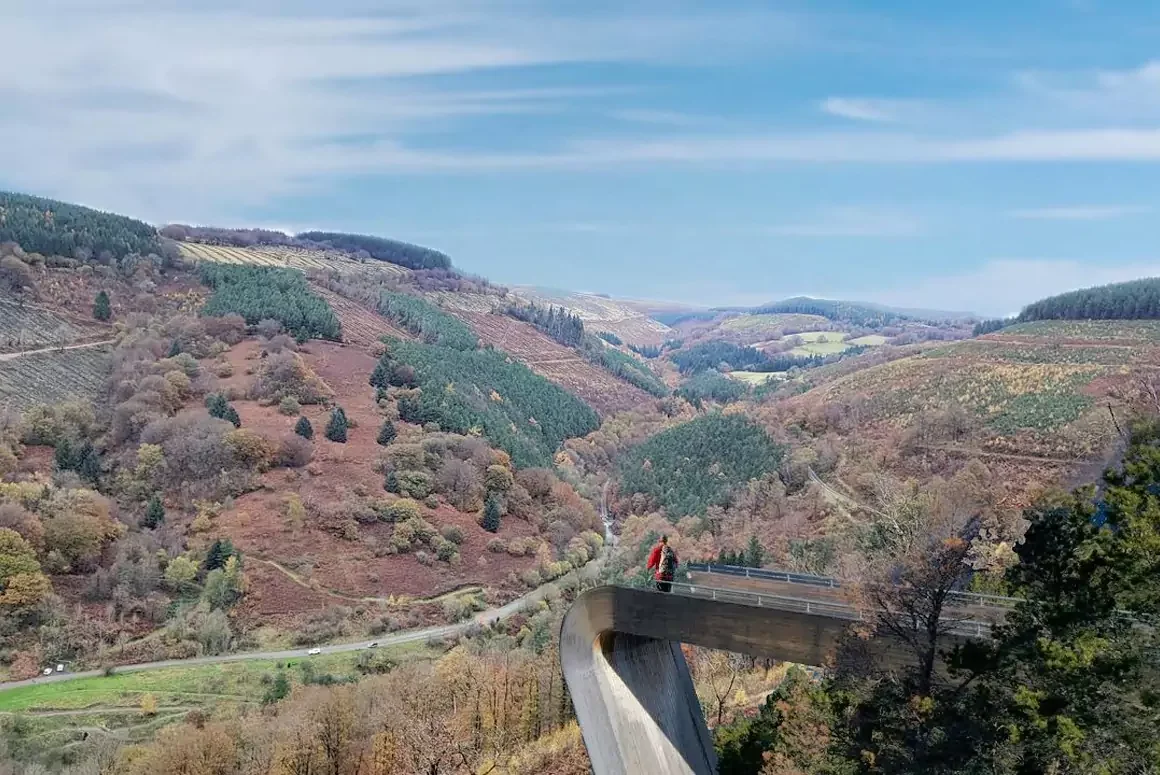 Avison Young Brings Cwmcarn Forest Drive to Market in Unique Leisure Development Opportunity
