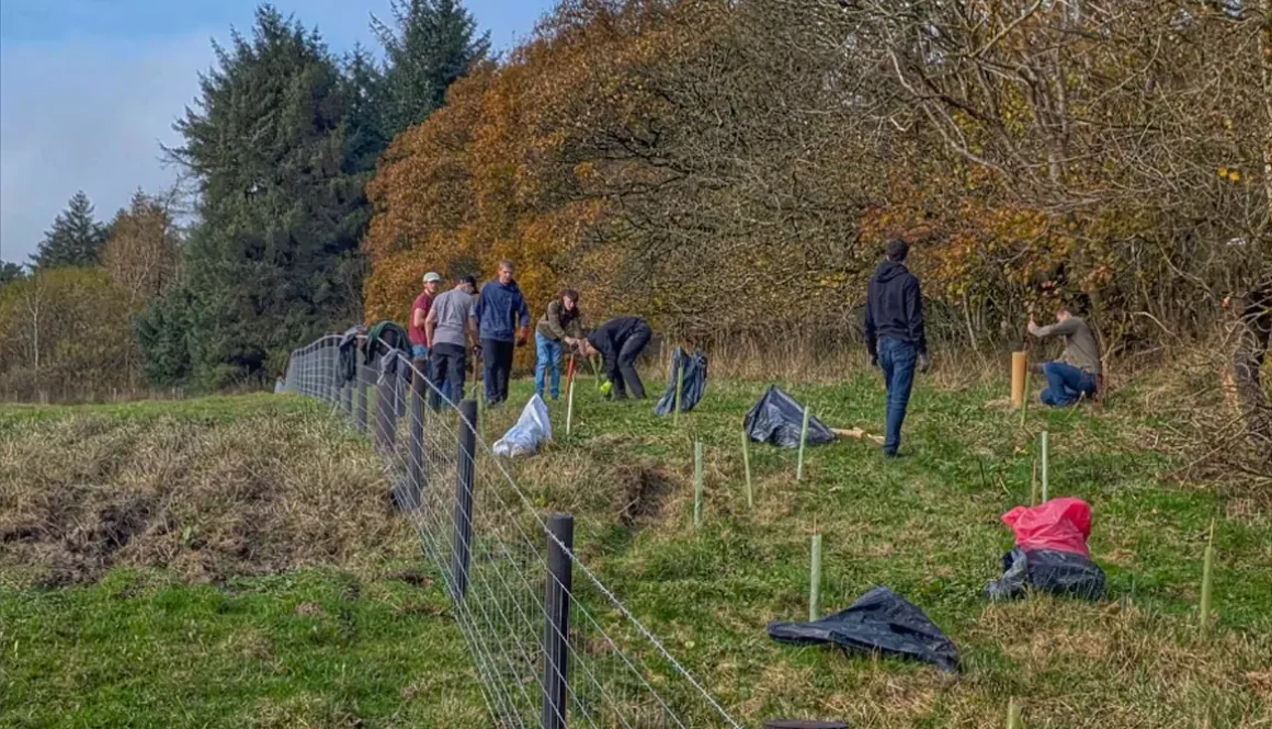 Clwydian Range Development to Support Local Nature