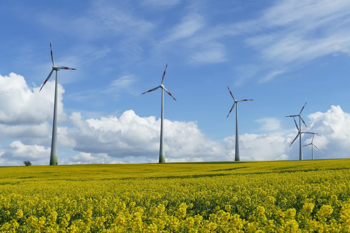 Green Ways to Improve Your Home’s Value and Save Money in Wales