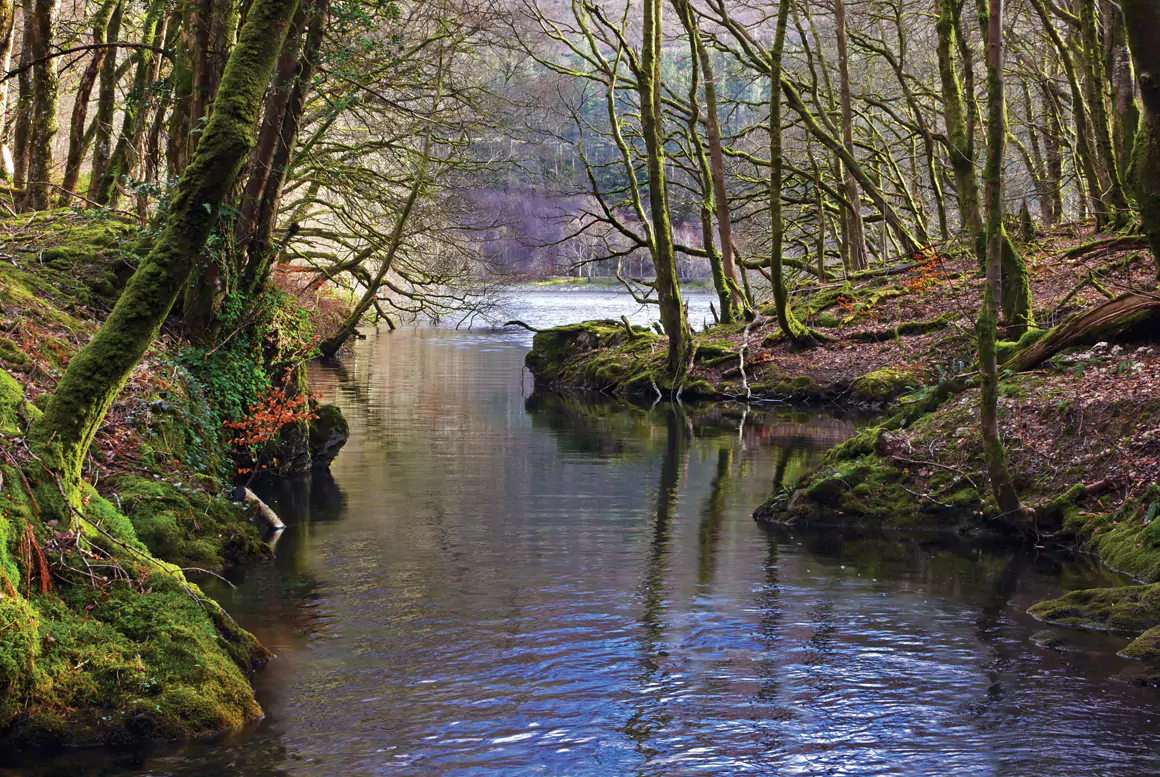 Welsh Winter Blues by Paul Jasper Welsh Winter Blues by Paul Jasper