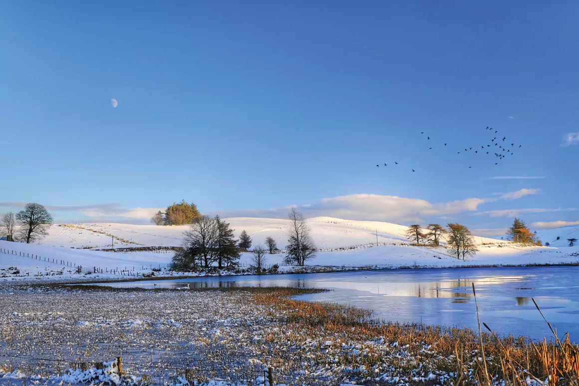 Welsh Winter Blues by Paul Jasper Welsh Winter Blues by Paul Jasper