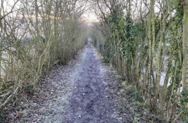 Shropshire Union Canal Society, January 2025 Work Party Report