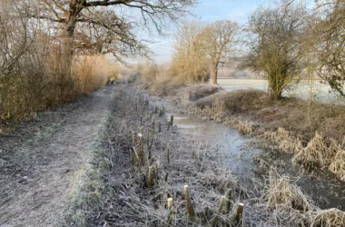 Shropshire Union Canal Society, January 2025 Work Party Report