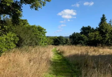 Annwyn Arboretum
