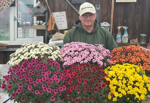 Cross Farm Nursery