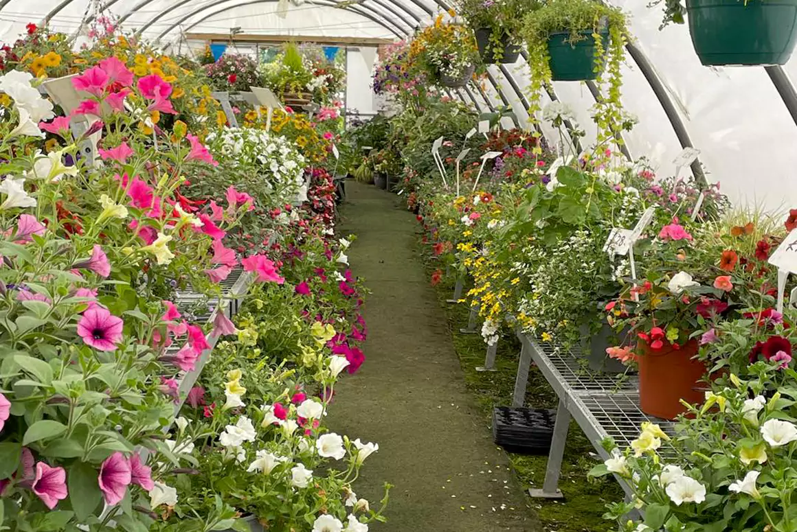 Cross Farm Nursery