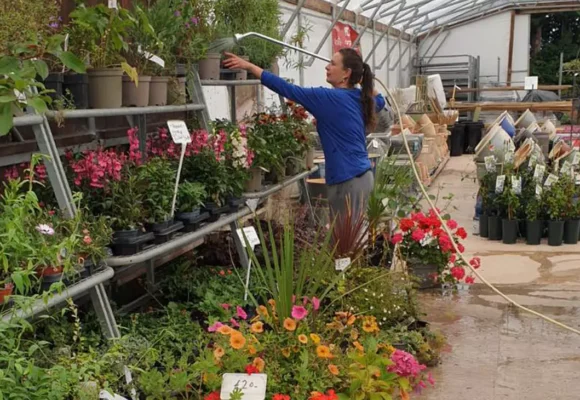 Cross Farm Nursery
