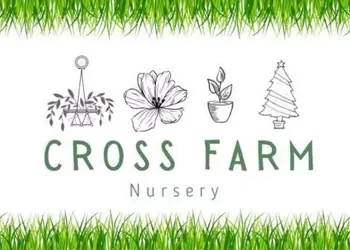 Cross Farm Nursery