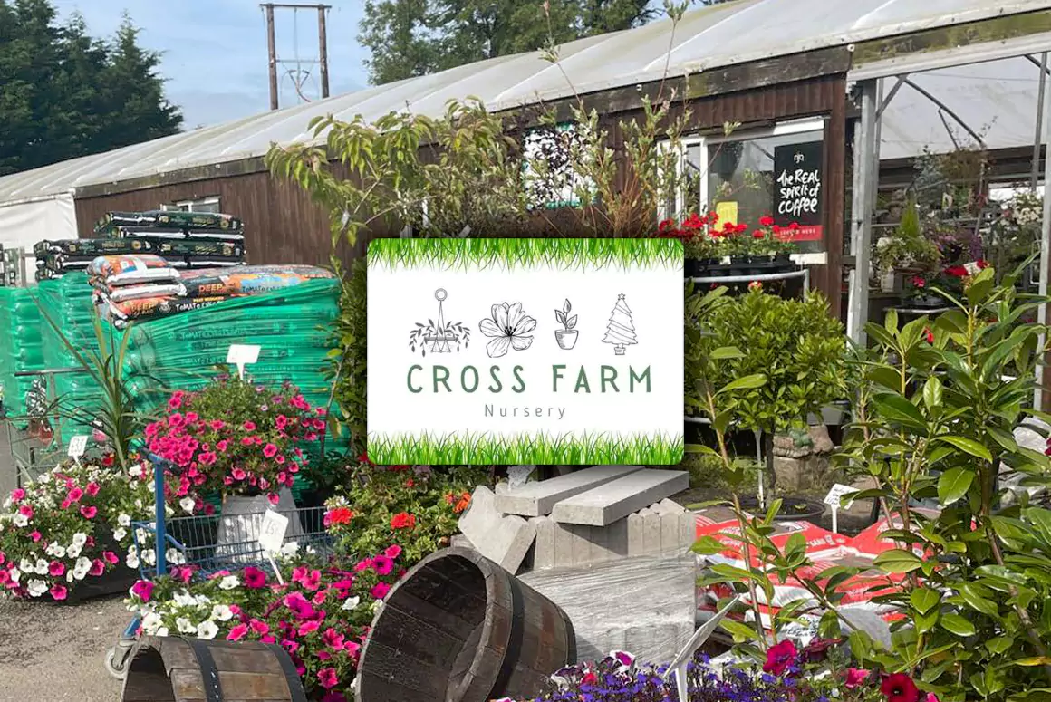 Cross Farm Nursery