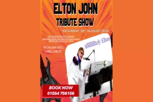 Elton John Tribute Show