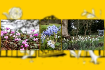 2024 Was a Landmark Year for the National Garden Scheme