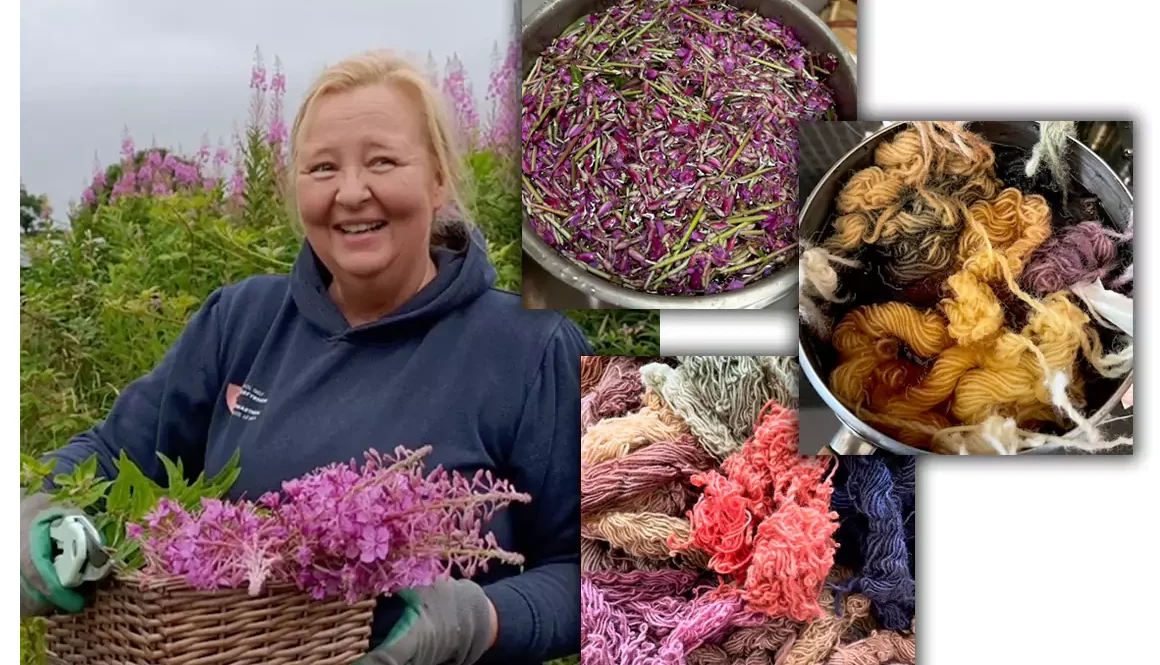 Textiles Degree Student Wins Sustainable Start-Up Grant Natural Dyes And Yarns