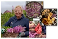 Textiles Degree Student Wins Sustainable Start-Up Grant Natural Dyes And Yarns