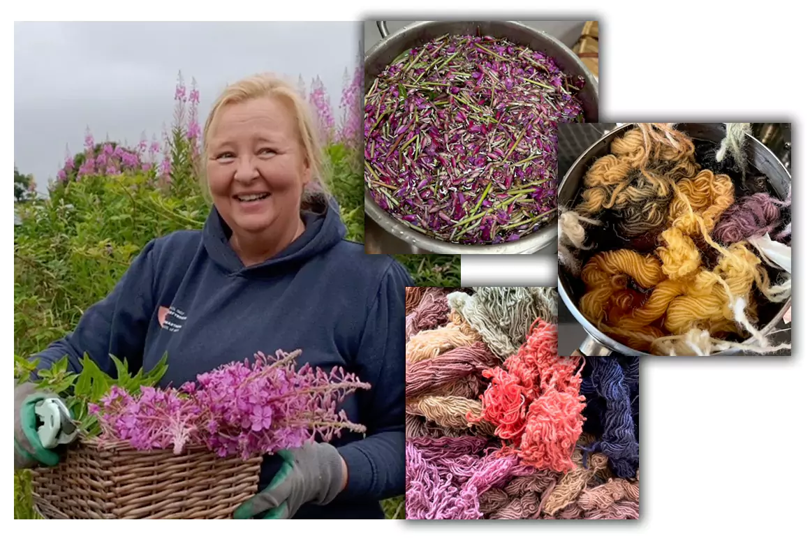 Textiles Degree Student Wins Sustainable Start-Up Grant Natural Dyes And Yarns