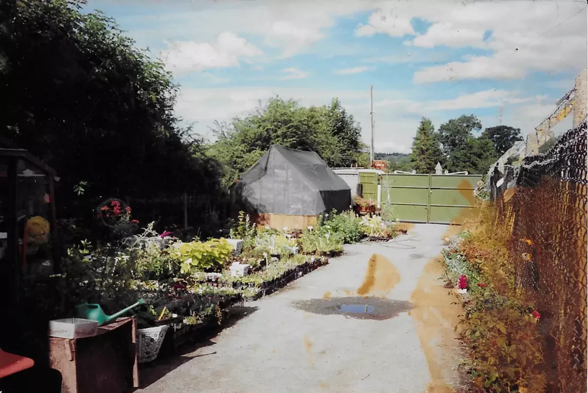 From Humble Beginnings to 35 Years of Flourishing Success
