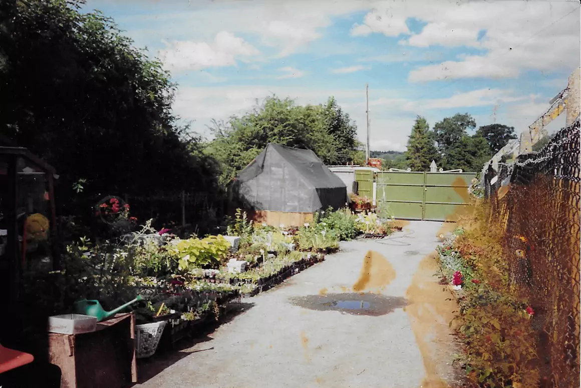 From Humble Beginnings to 35 Years of Flourishing Success