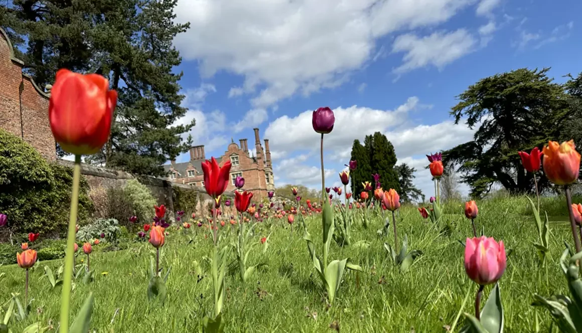 Vaynor Park