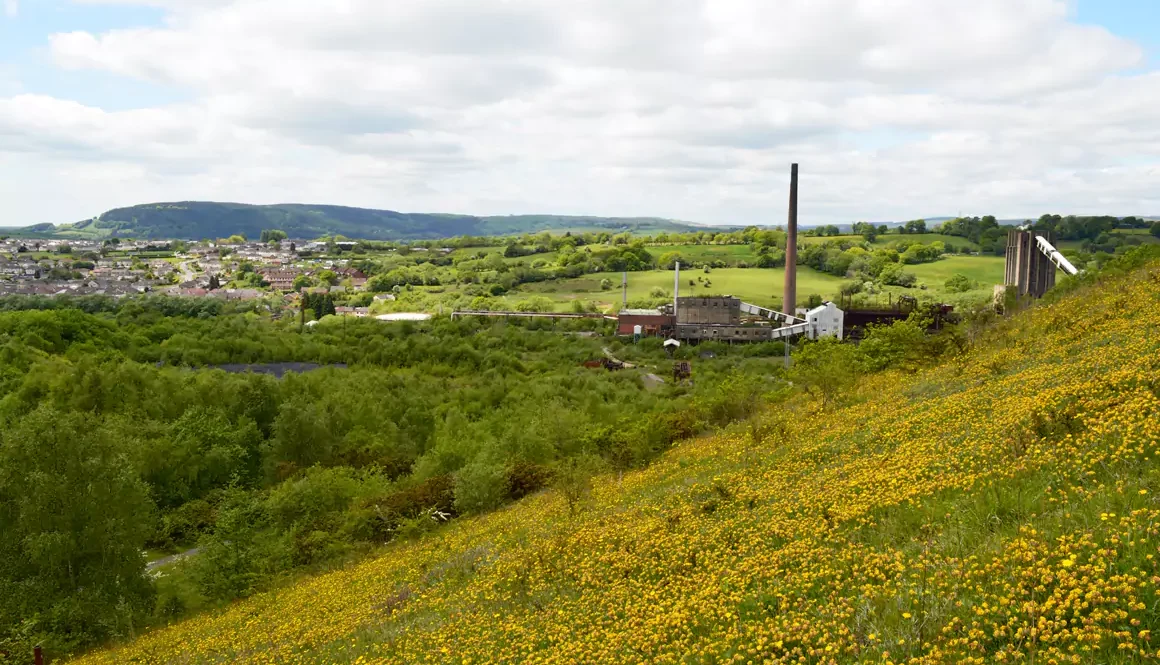 Colliery Spoil Biodiversity