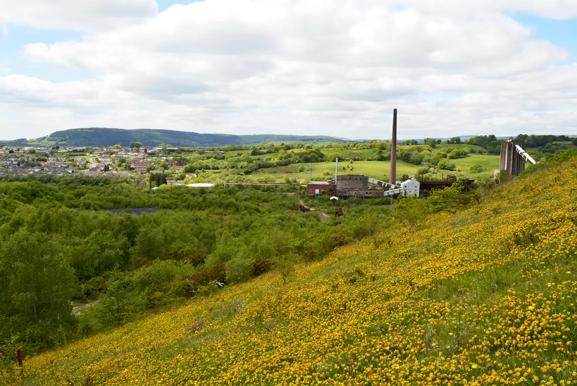 Colliery Spoil Biodiversity