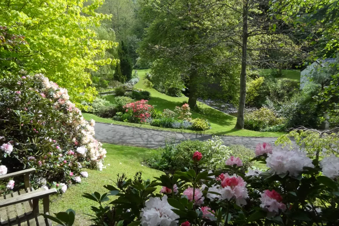 National Garden Scheme Powys News