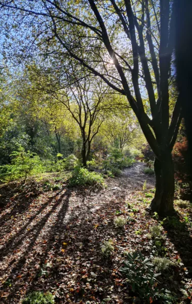 The Hidden Garden