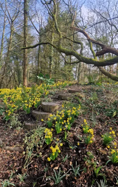 The Hidden Garden