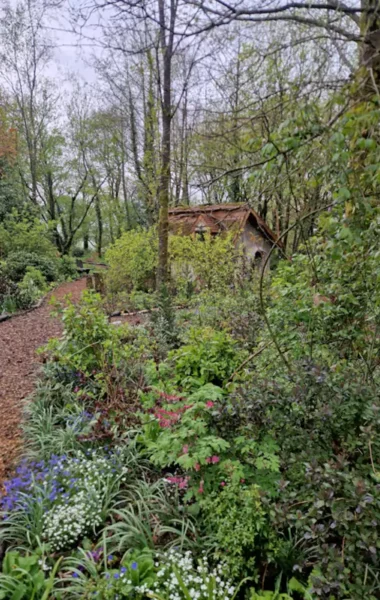 The Hidden Garden