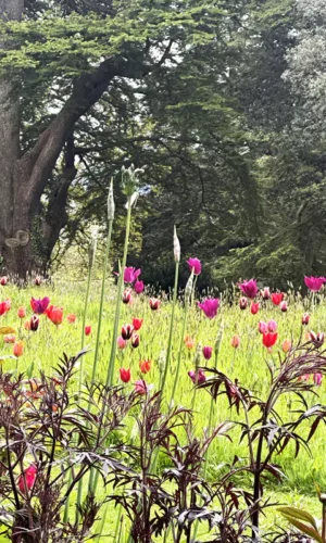 Vaynor Park