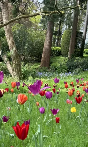 Vaynor Park