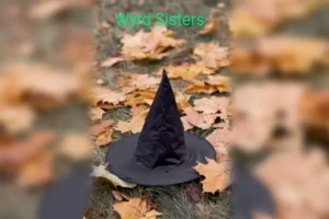 Ucheldre Rep Presents Wyrd Sisters