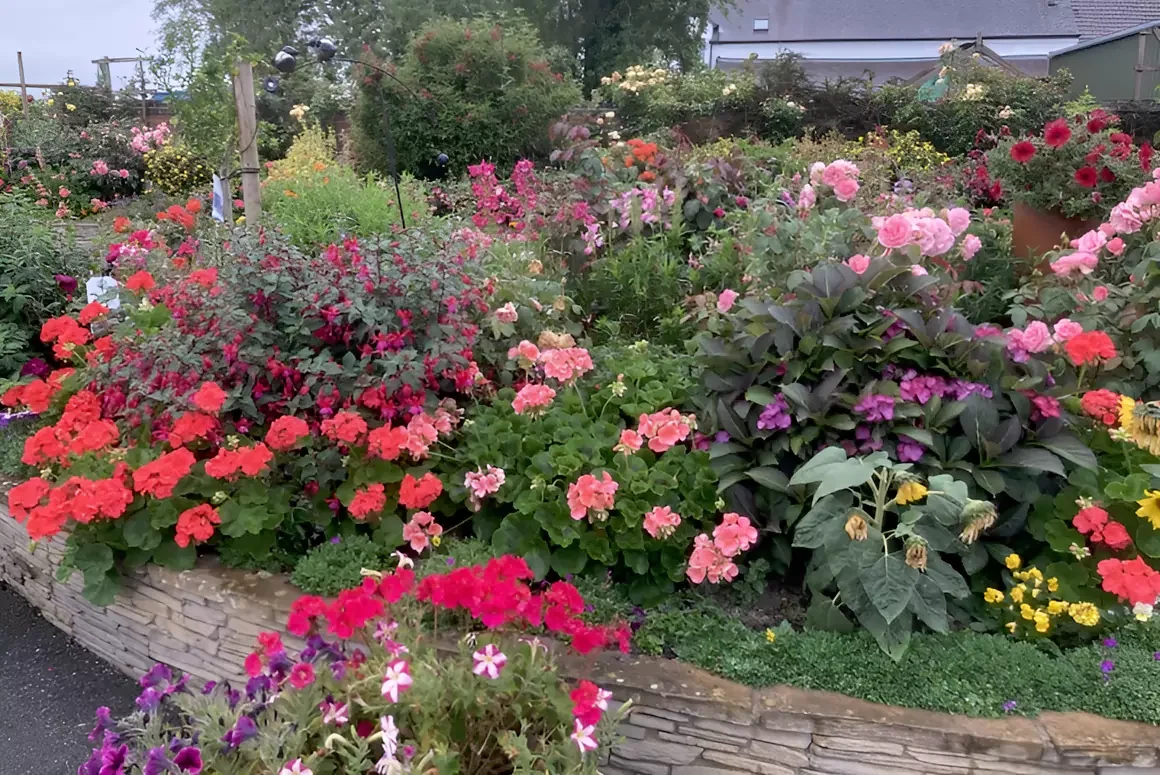 National Garden Scheme Powys News