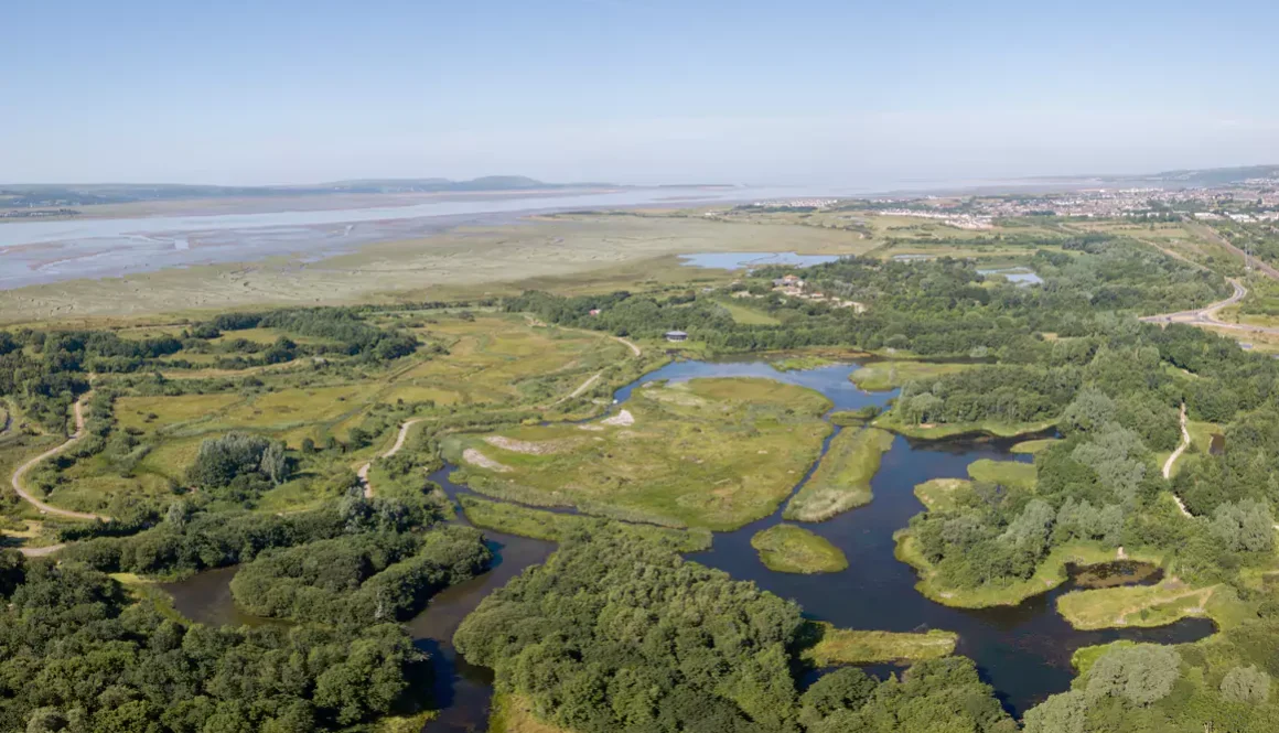 WWT Llanelli Wetland Centre